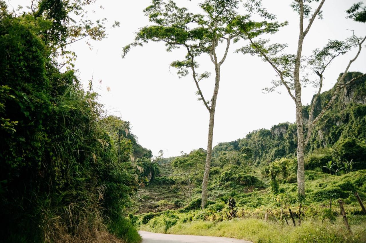 150 Peakway Mountain Resort Dalaguete Exterior foto